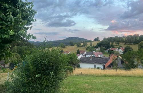 Blockbohlen HolzHaus mit Sauna, Outdoor Jacuzzi und BadeTeich - Foto 73