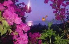 Paradisos House - Foto 4