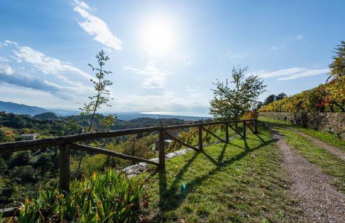 Villa Cà Di Negrè by Mmega - Foto 14