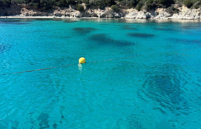 Avistamiento de delfines en la isla de Figarolo - Foto 7