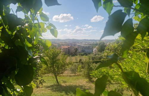 Il Casolare - Foto 42