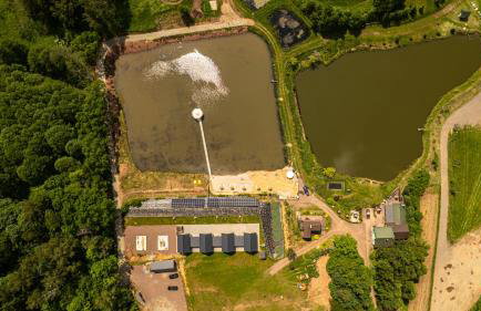 Domki Nad Stawami z Jacuzzi i Sauną 4 - Foto 28