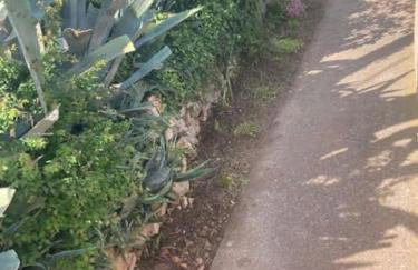 Vila Klara double room - terrace view - Foto 41