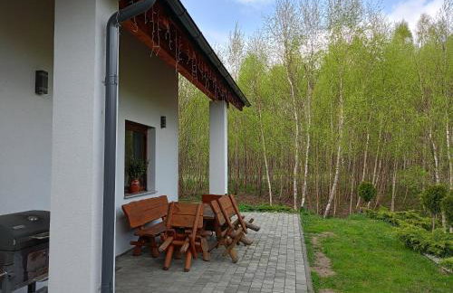 Willa w Brzozach Sznurki Spokojna 1 - Chmielno, Kaszuby, dom, jezioro - Foto 38