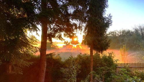 Apartment Renate - Foto 5, Garden view