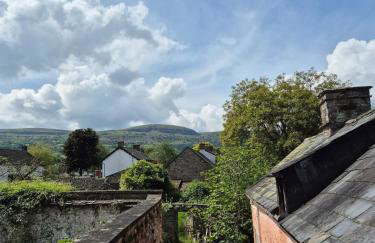 Little Plas - Foto 22