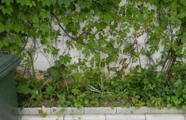 Apartments Kaskada - Foto 57