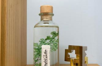 L'Elégance, Suite Premium - Lille Lomme - Netflix - Foto 15