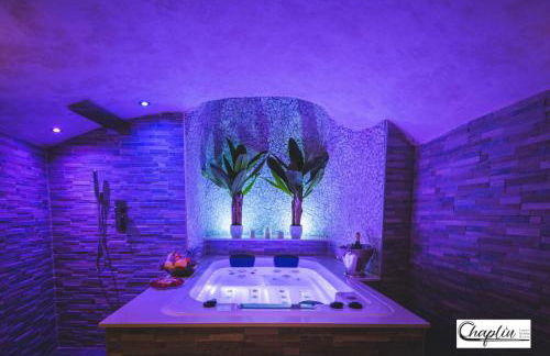 CHAPLIN Luxury Holiday House - Photo 48