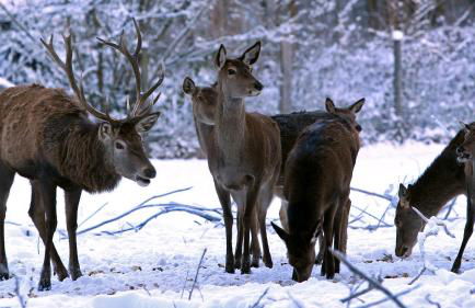 Am Bergischen Panoramasteig - Foto 26