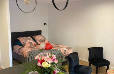 O2M Aix les bains - Foto 1