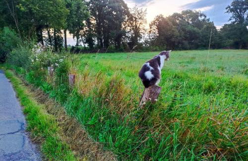 Bed and Bike Rheine - Foto 59