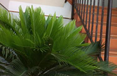 Casa Giuliano - Foto 23