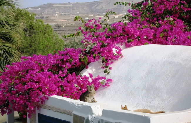 Paradise Resort - Foto 59