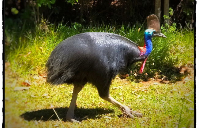 Mission Reef Resort - Foto 38