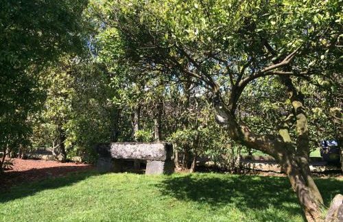 Quinta de Santa Clara - Photo 80