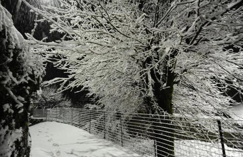 The Mountain House -mountain getaway - Photo 59