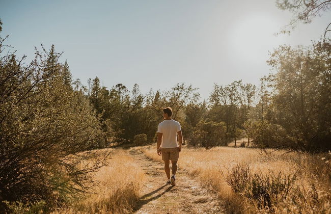 Luxury Nature Getaway Stone House by Casa Oso - Foto 35