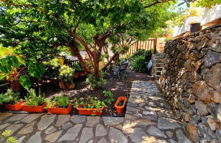 Los Nacientes: Cordero - Foto 11