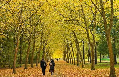 TerraKota Cosy T2 au cœur d'Evry Courcouronnes - Foto 20