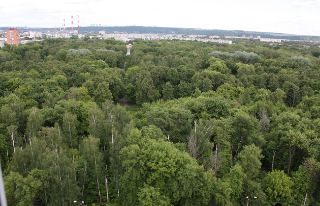 Park Apartment - Photo 21