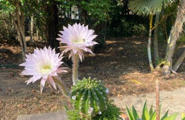 Aconchegante Casa de Hóspedes - Chácara Prado - Foto 26