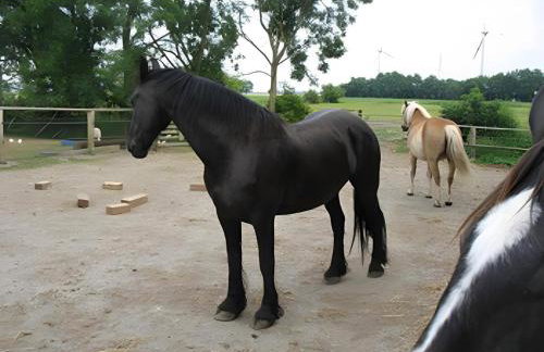 Ferienhof Friccius - Photo 30