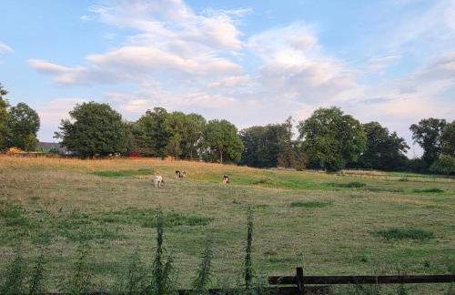 2- Zimmer-Wohnung, Nähe Phantasialand, Palmenparadies, Köln, Bonn - Foto 15