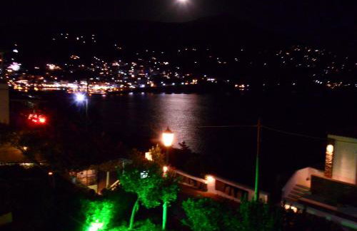 Elpida Andros - Foto 17