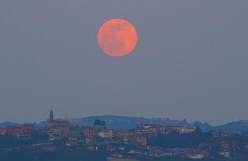 La Vigna del Parroco-2- - Foto 52