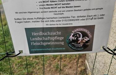 Ferienhaus Waldgefluester - Foto 22