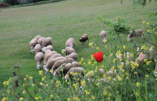 Agriturismo Cantagalli - Foto 120