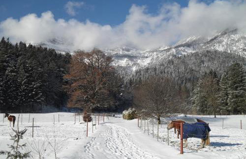 Ferienwohnung 1 Gestüt Pfaffenlehen - Foto 26