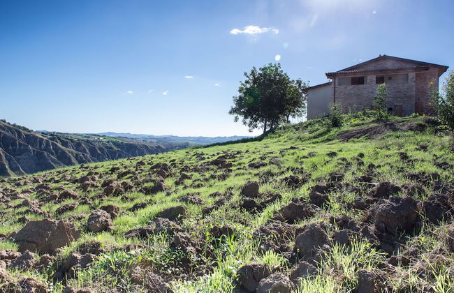 Società Agricola Zucchera S.S. - Foto 8