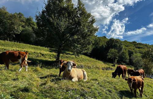 Garda Lake Panorama Villa with Garden & BBQ - Foto 79