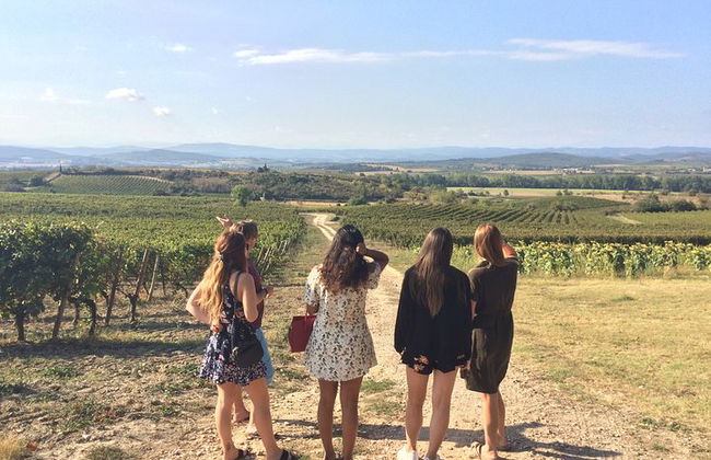 Day tour : Cité de Carcassonne and wine tasting. private tour from Carcassonne. - Photo 5