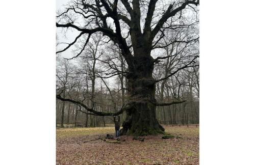 Holiday home with 2 bedrooms - Foto 16