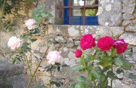 Casinha Nº461 - Foto 30