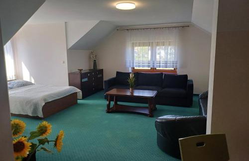 Apartamenty LeVilla - Foto 53