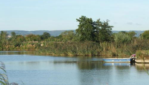 Dragonfly Stays at Lower Lakes - Foto 3