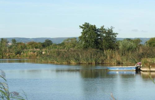 Dragonfly Stays at Lower Lakes - Foto 3
