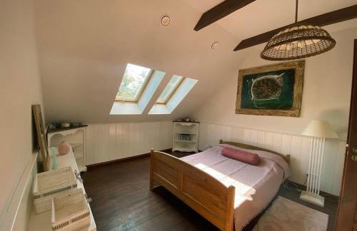 Szeroki Bór oaza w Puszczy z Sauną, Banią i Jacuzzi - Foto 36