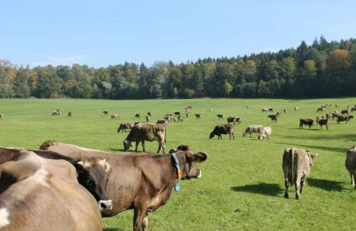 Rösslerhof Ferienwohnung Obstwiese - Photo 23