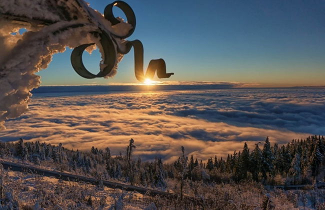 Apartment in Malsburg With Garden - Foto 27