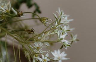 Ca' Nadin Agriturismo - Foto 52