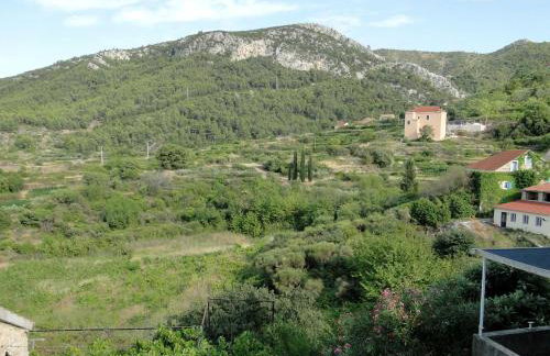 Heritage Apartments Kyra & Fox in Pitve, Hvar - Photo 16