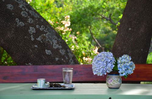 Mirsini Apartments - Foto 40