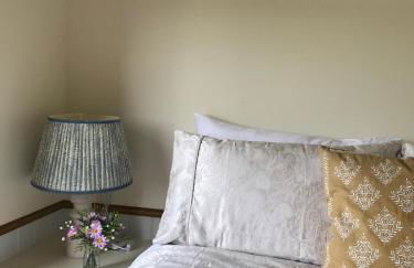 Ty Beti at Gorlan yr Efail Shepherds Hut with Private Hot Tub - Foto 15