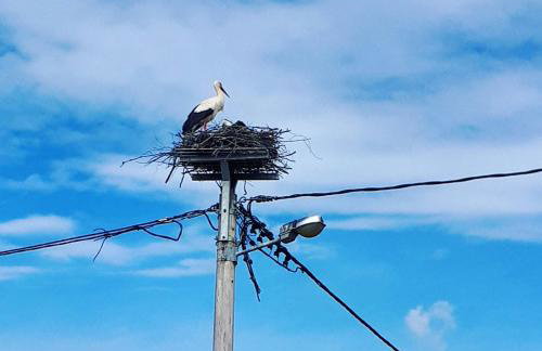 Apartman Lena - Foto 36