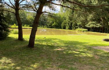 Logement de charme dans un monument historique daté de 1544, au centre de Haguenau - Photo 28